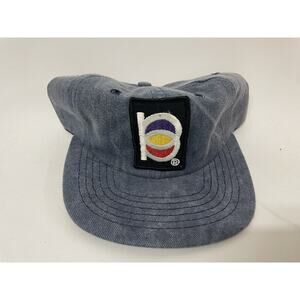 Vintage PPG Paints Denim Style Snapback Hat Cap New One Size Old Logo